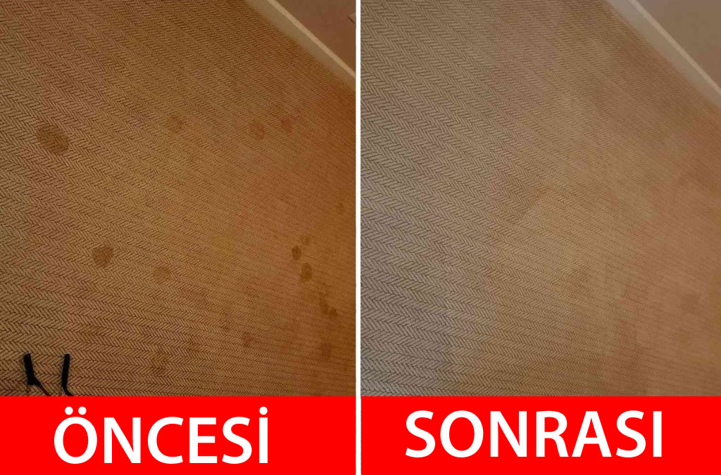 Halı Yıkama Öncesi